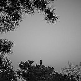 《激战2》上架Steam平台 8月23日正式上线